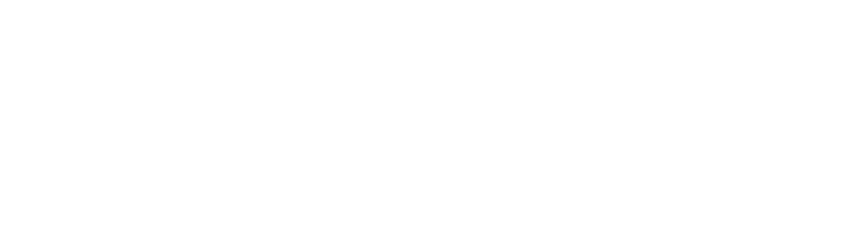 Pulse Profit Digital Main Logo